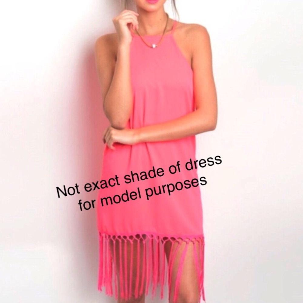 NWT Lac Bleu Gorgeous Unique Sleeveless Pink Tassel Dress